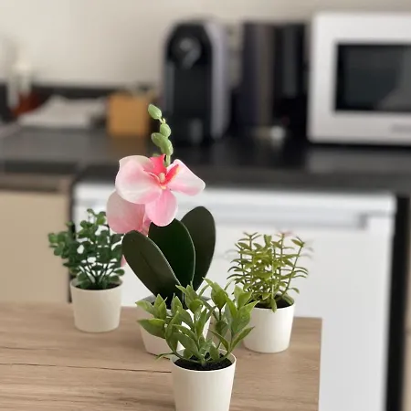 Hotel apartamentowy Weseler Wirtshaus Wesel (North Rhine-Westphalia)