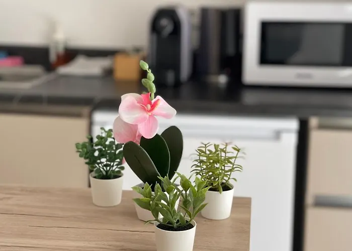 Aparthotel Weseler Wirtshaus Wesel (North Rhine-Westphalia)